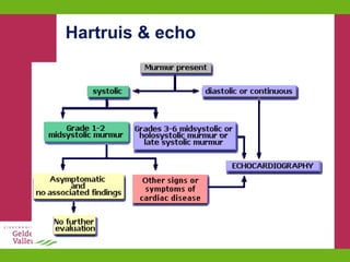 Hartruis & echo 