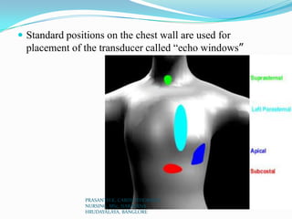  Standard positions on the chest wall are used for
placement of the transducer called “echo windows”
PRASANTH.K, CARDIOTHORACIC
NURSING, MSc, NARAYANA
HRUDAYALAYA, BANGLORE
 