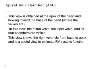 Apical four chamber (A4C)
⦁ This view is obtained at the apex of the heart and
looking toward the base of the heart (where the
valves are).
⦁ In this view, the mitral valve, tricuspid valve, and all
four chambers are visible.
⦁ This view shows the right ventricle from base to apex
and is a useful view to estimate RV systolic function
 