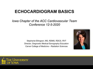 ECHOCARDIOGRAM BASICS
Iowa Chapter of the ACC Cardiovascular Team
Conference 12-5-2020
Stephanie Ellingson, MS, RDMS, RDCS, RVT
Director, Diagnostic Medical Sonography Education
Carver College of Medicine – Radiation Sciences
 