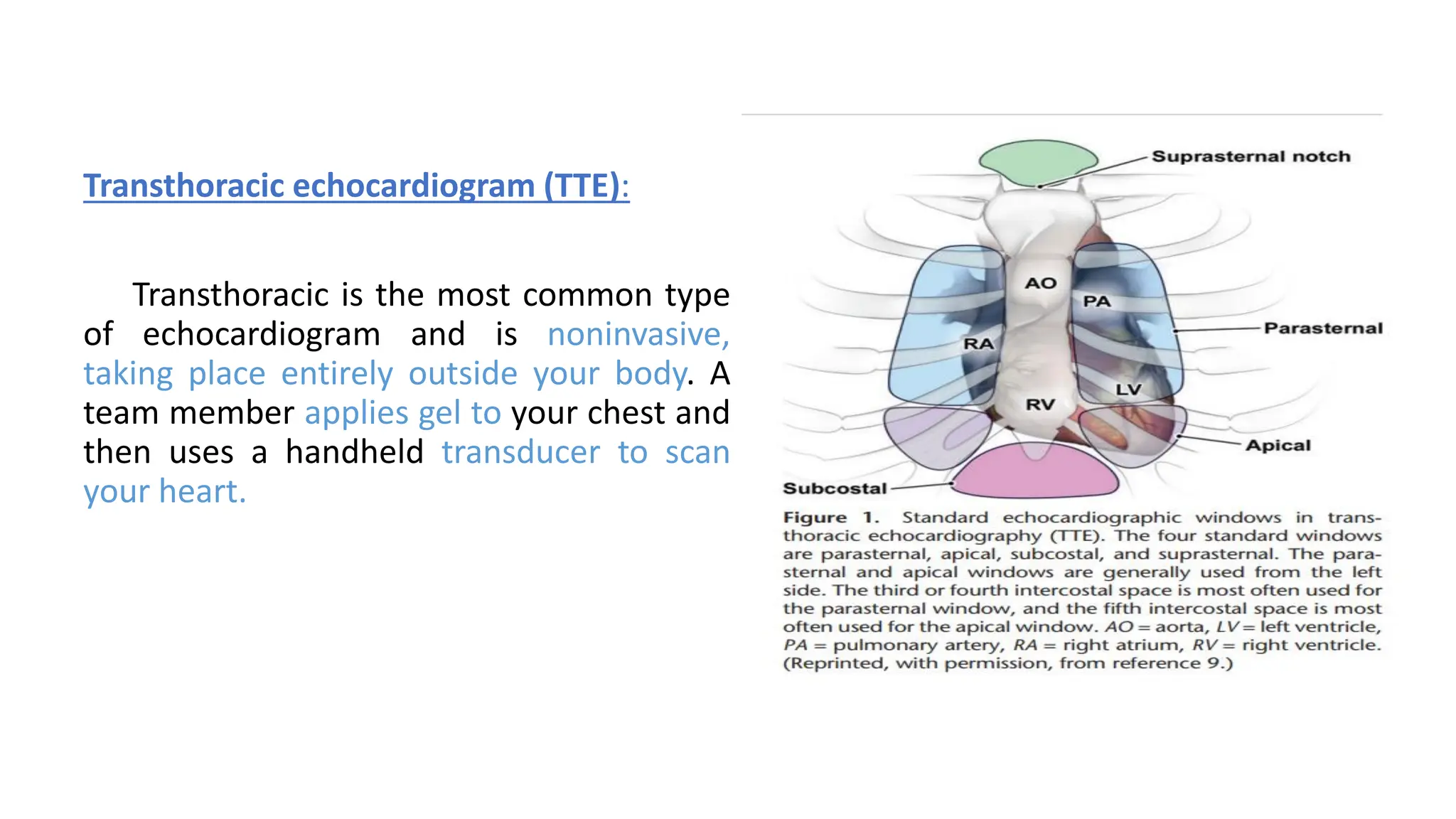 Transthoracic echocardiogram (TTE):
Transthoracic is the most common type
of echocardiogram and is noninvasive,
taking place entirely outside your body. A
team member applies gel to your chest and
then uses a handheld transducer to scan
your heart.
 