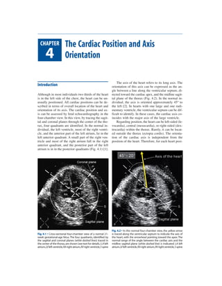 Echocardiographic anatomy in the fetus 2009 pg | PDF
