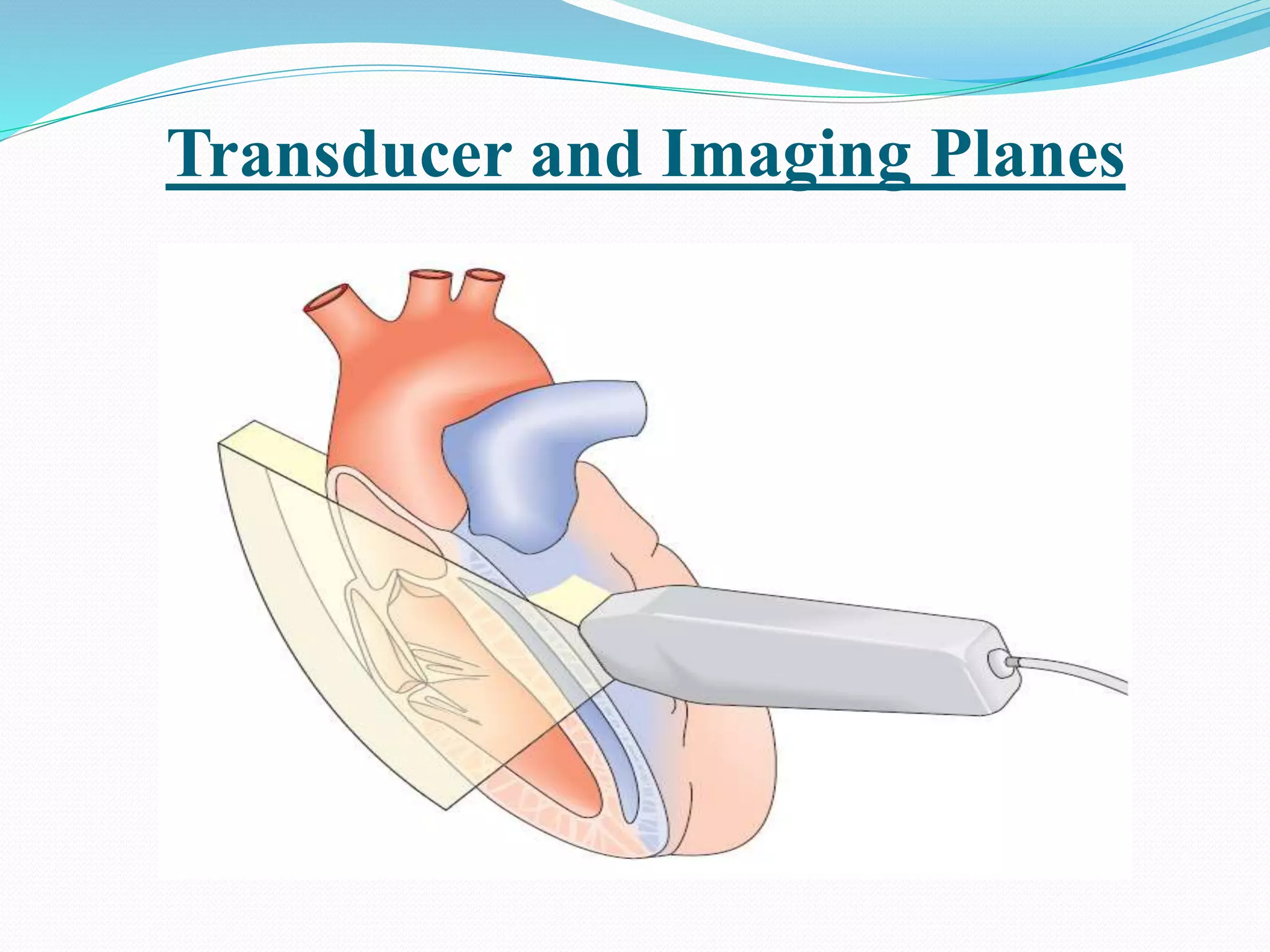Echocardiographic assessment of left ventricular systolic function | PPTX