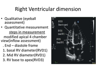 Echocardiographic measurements | PPTX