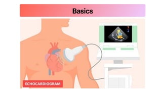 Echocardiography.pdf