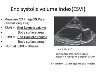 Canine Echocardiography -Dr Venkatesh S M.pptx