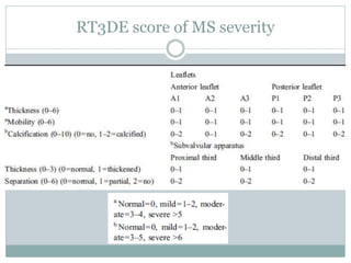 RT3DE score of MS severity
 