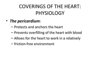 COVERINGS OF THE HEART:
PHYSIOLOGY
• The pericardium:
– Protects and anchors the heart
– Prevents overfilling of the heart with blood
– Allows for the heart to work in a relatively
– friction-free environment
 