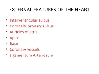 EXTERNAL FEATURES OF THE HEART
• Interventricular sulcus
• Coronal/Coronary sulcus
• Auricles of atria
• Apex
• Base
• Coronary vessels
• Ligamentum Arteriosum
 