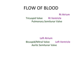 FLOW OF BLOOD
• O2-poor blood (S+I VC, Coronary Sinus) enters Rt Atrium
• Travels through Tricuspid Valve into Rt Ventricle
• Pumped out through Pulmonary Semilunar Valve into
Pulmonary trunk (branches into Pulmonary Arteries) and to
lungs
•After circulating through lungs, O2-rich blood returns to the
heart through 4 Pulmonary veins
• The O2-rich blood enters the Left Atrium
• Travels through Bicuspid/Mitral Valve into Left Ventricle
• Pumped out through Aortic Semilunar Valve into Aorta to be
distributed to rest of body by descending aorta and branches
of aortic arch
 
