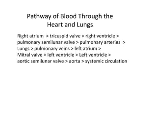 Pathway of Blood Through the
Heart and Lungs
Right atrium > tricuspid valve > right ventricle >
pulmonary semilunar valve > pulmonary arteries >
Lungs > pulmonary veins > left atrium >
Mitral valve > left ventricle > Left ventricle >
aortic semilunar valve > aorta > systemic circulation
 