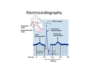 Electrocardiography
 