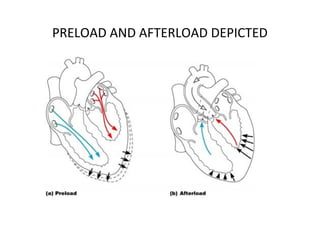 PRELOAD AND AFTERLOAD DEPICTED
 