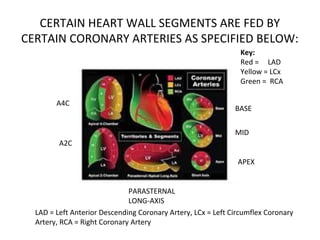 CERTAIN HEART WALL SEGMENTS ARE FED BY
CERTAIN CORONARY ARTERIES AS SPECIFIED BELOW:
BASE
MID
APEX
A4C
A2C
PARASTERNAL
LONG-AXIS
Key:
Red = LAD
Yellow = LCx
Green = RCA
LAD = Left Anterior Descending Coronary Artery, LCx = Left Circumflex Coronary
Artery, RCA = Right Coronary Artery
 
