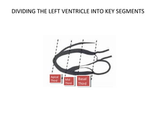 DIVIDING THE LEFT VENTRICLE INTO KEY SEGMENTS
Apical
Third
Apical
Third Mid
Third
Mid
Third
Basal
Third
Basal
Third
 