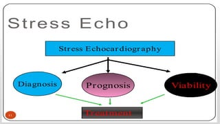 Stress Echo
Stress Echocar diogr aphy
Diagnosis Prognosis Viability
Treatment41
 