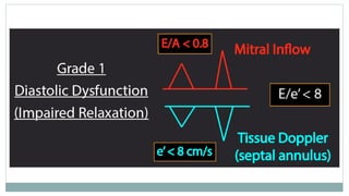 Comprehensive Echocardiographic Evaluation of Left Ventricular ...