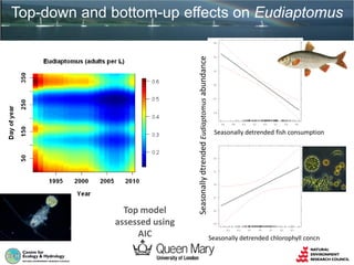 Top-down and bottom-up effects on Eudiaptomus
SeasonallydtrendedEudiaptomusabundance
Seasonally detrended fish consumption
Seasonally detrended chlorophyll concn
Top model
assessed using
AIC
 