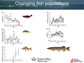 Changing fish populations
 