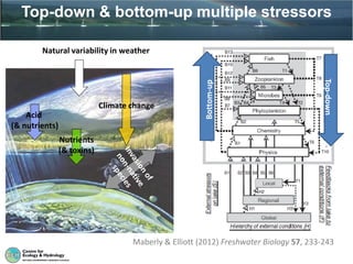 Top-down & bottom-up multiple stressors
Maberly & Elliott (2012) Freshwater Biology 57, 233-243
Nutrients
(& toxins)
Acid
(& nutrients)
Climate change
Natural variability in weather
Bottom-up
Top-down
 