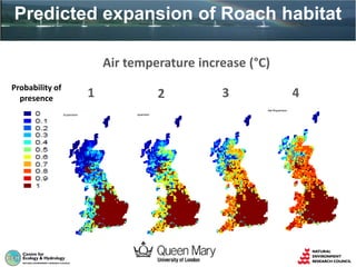 Predicted expansion of Roach habitat
Probability of
presence
Air temperature increase (°C)
1 2 43
 