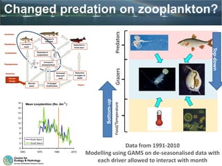 Changed predation on zooplankton?
PredatorsGrazersFood/Temperature
The hypothesis
Climate
change
Warmer
water
Reductionin
zooplankton
Increasein
roach
Increasein
phytoplankton
Reductionin
Arcticcharr
Reduction
in oxygen at
depth
Prolonged
stratification
Increased
internalP-
load
Planktivores
Zooplankton
Phytoplankton
Chemistry
Physics
Changesin
Pike diet
Carnivores
Mean zooplankton (No. dm
-3
)
0
2
4
6
8
10
12
14
16
18
1950 1970 1990 2010
North Basin
South Basin
Bottom-up
Top-down
Data from 1991-2010
Modelling using GAMS on de-seasonalised data with
each driver allowed to interact with month
 