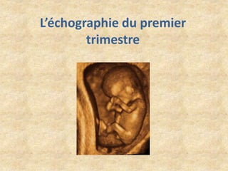 L’échographie du premier
trimestre

 