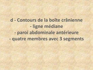 d - Contours de la boîte crânienne
- ligne médiane
- paroi abdominale antérieure
- quatre membres avec 3 segments

 