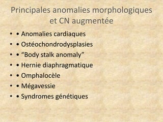 Principales anomalies morphologiques
et CN augmentée
•
•
•
•
•
•
•

• Anomalies cardiaques
• Ostéochondrodysplasies
• “Body stalk anomaly”
• Hernie diaphragmatique
• Omphalocèle
• Mégavessie
• Syndromes génétiques

 
