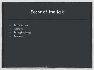 Scope of the talk
Introduction
Anatomy
Pathophysiology
Diseases
2
 