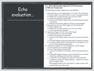 Echo
evaluation…
 