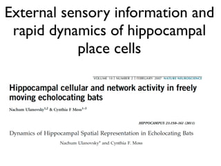 External sensory information and
 rapid dynamics of hippocampal
           place cells
 