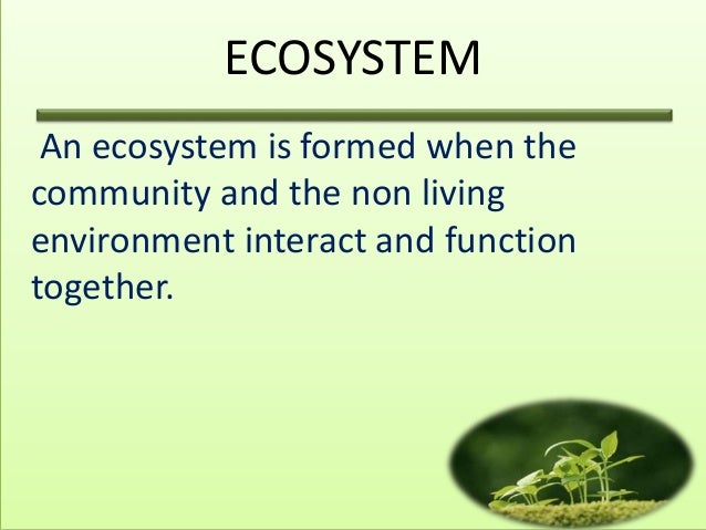 an introduction to the ecology as the study of the living things interacting with its environment Introduction: humans in their ecological humans in their ecological setting relationship to its environment ecology was. an introduction to the ecology as the study of the living things interacting with its environment Introduction: humans in their ecological humans in their ecological setting relationship to its environment ecology was.