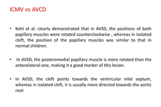 Congenital LV and RV inflow anomalies by Echocardiography | PPTX