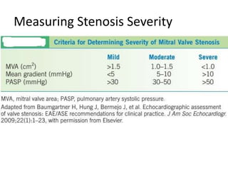 Measuring Stenosis Severity
 