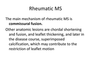 Rheumatic MS
The main mechanism of rheumatic MS is
commissural fusion.
Other anatomic lesions are chordal shortening
and fusion, and leaflet thickening, and later in
the disease course, superimposed
calcification, which may contribute to the
restriction of leaflet motion
 