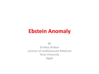Ebstein Anomaly
BY
Dr.Aliaa Shaban
Lecturer of cardiovascular Medicine
Tanta University
Egypt
 
