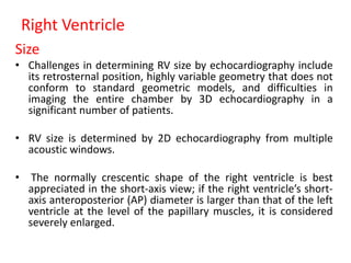Right Ventricle
Size
• Challenges in determining RV size by echocardiography include
its retrosternal position, highly variable geometry that does not
conform to standard geometric models, and difficulties in
imaging the entire chamber by 3D echocardiography in a
significant number of patients.
• RV size is determined by 2D echocardiography from multiple
acoustic windows.
• The normally crescentic shape of the right ventricle is best
appreciated in the short-axis view; if the right ventricle’s short-
axis anteroposterior (AP) diameter is larger than that of the left
ventricle at the level of the papillary muscles, it is considered
severely enlarged.
 