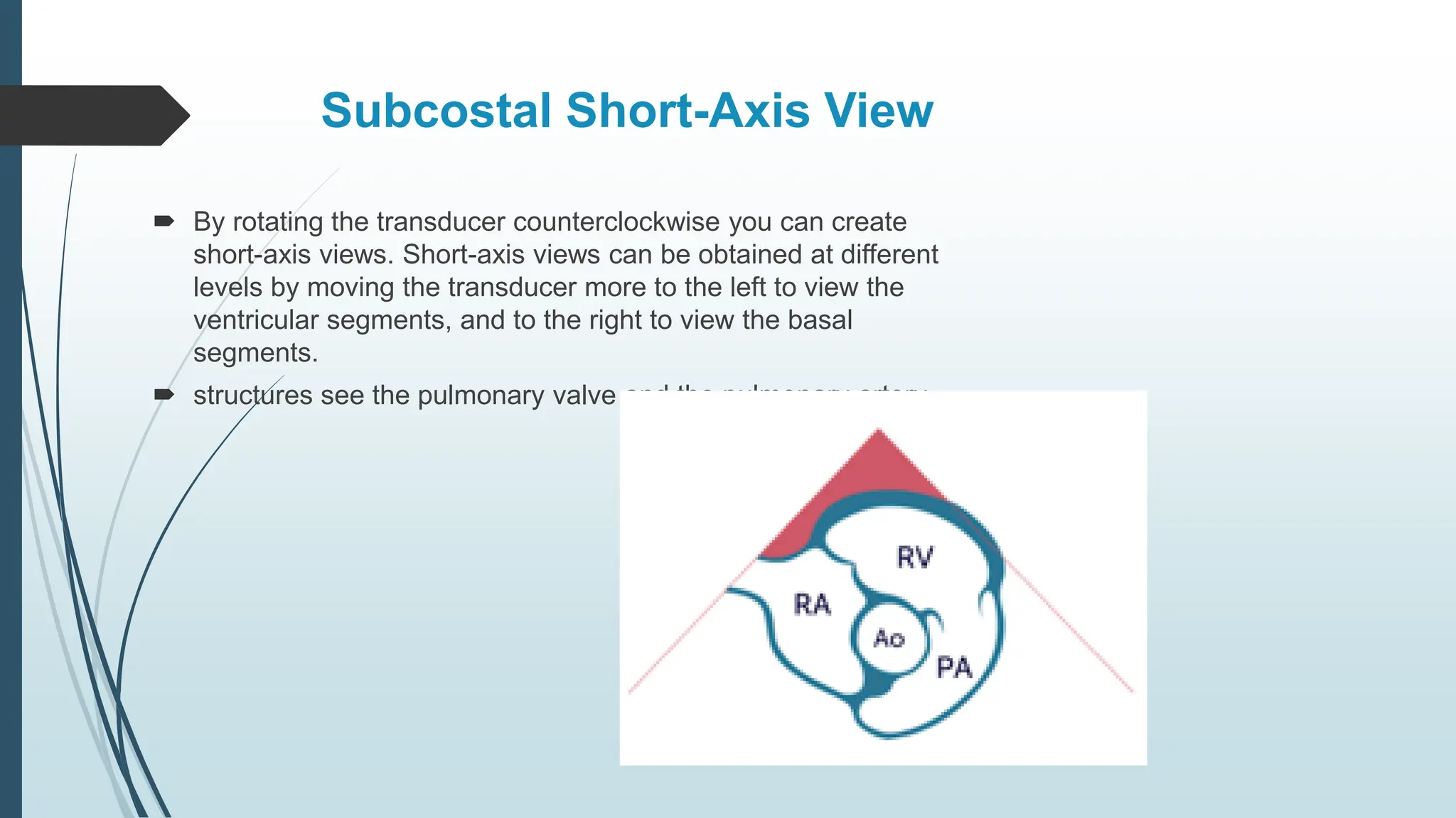 Subcostal Short-Axis View
 By rotating the transducer counterclockwise you can create
short-axis views. Short-axis views can be obtained at different
levels by moving the transducer more to the left to view the
ventricular segments, and to the right to view the basal
segments.
 structures see the pulmonary valve and the pulmonary artery.
 