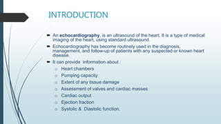 echocardiograhy window and views at large | PDF
