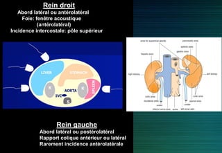 Rein droit
Abord latéral ou antérolatéral
Foie: fenêtre acoustique
(antérolatéral)
Incidence intercostale: pôle supérieur
Rein gauche
Abord latéral ou postérolatéral
Rapport colique antérieur ou latéral
Rarement incidence antérolatérale
 