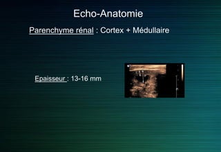 Echo-Anatomie
Parenchyme rénal : Cortex + Médullaire
Epaisseur : 13-16 mm
 