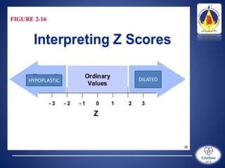 pediatric echo measurements technique z score | PPTX