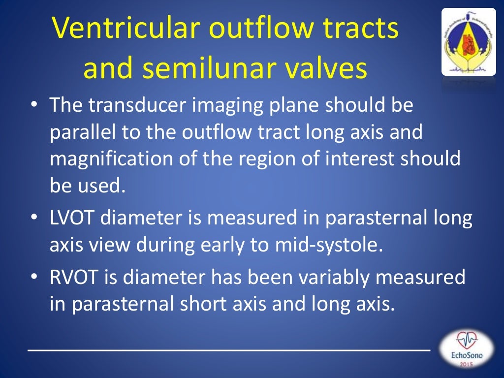 pediatric echo measurements technique z score