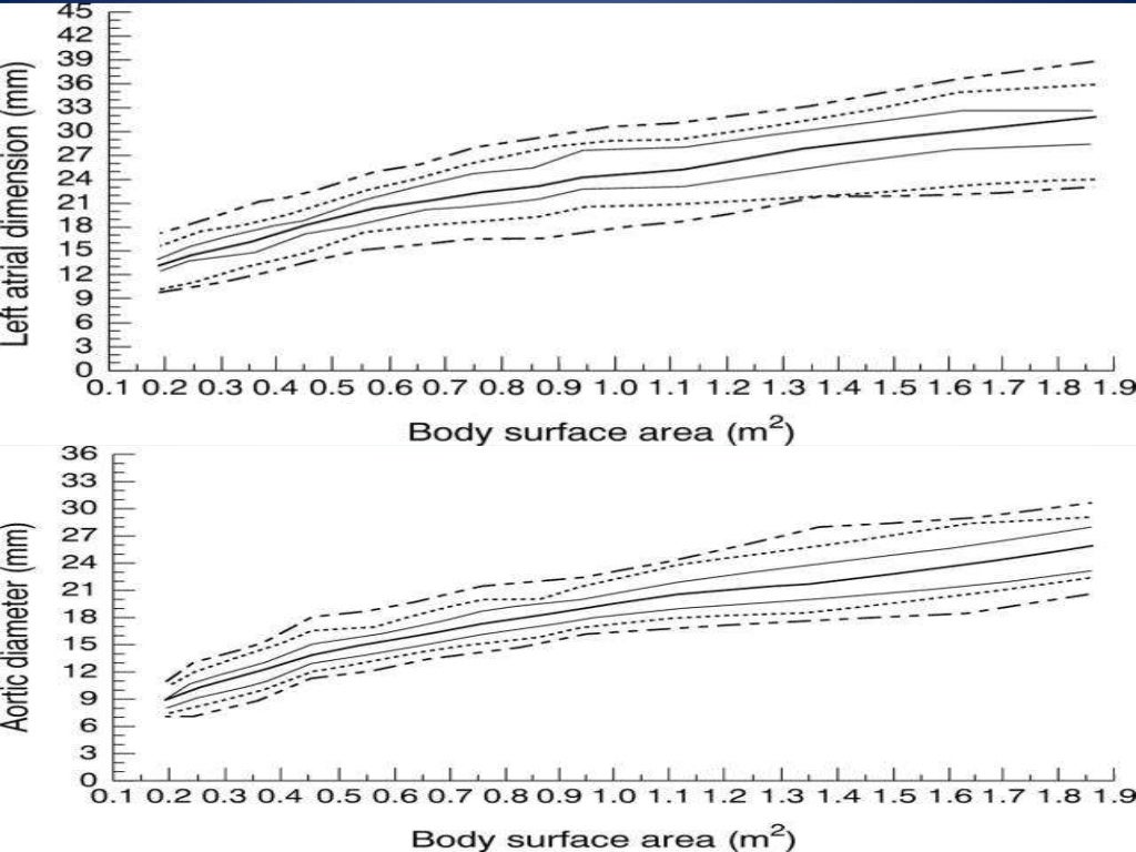pediatric echo measurements technique z score