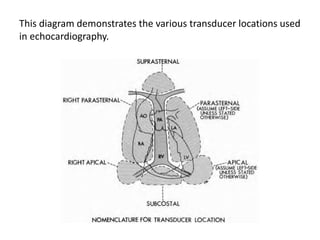 This diagram demonstrates the various transducer locations used
in echocardiography.
 