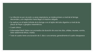 • La infección es por vía oral o a veces respiratoria, se instala primero a nivel de la faringe,
descienden y son deglutidos hasta llegar al intestino delgado
• Se replican en el tejido linfoide de la faringe o en el tejido del tubo digestivo a nivel de las
placas de Peyer o ganglios mesentéricos.
• Cuadri clínico:
• Enfermedad febril: fiebre con promedios de duración de unos tres días, cefalea, nauseas, vomito,
dolor abdominal difuso, mialias.
• Todo el cuadro tiene una duración de 3. días o una semana, generalmente el cuadro desaparece
 