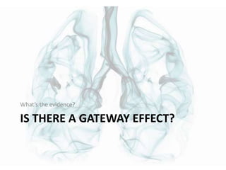 IS THERE A GATEWAY EFFECT?
What’s the evidence?
 