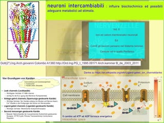 Danke zu https://en.wikipedia.org/wiki/Ligand-gated_ion_channeldanke
neuroni intercambiabili : influire biocitochimico ed possibili
adeguare metabolici ad stimolo.
Il cambio ad ATP ad ADP fornisce energetico
https://www.youtube.com/watch?v=7b41brBn7_c
Dott(2°).Ing.Arch.giovanni Colombo A1360 http://Ord.Ing.PG_I_1995 09171 Arch.kammer B_de_2003_2011
Vol. II:
Ioni ed cationi membranatici neuronali
Ed
ComE gli neuroni pensano nel Sistema nervoso
Centrale ed in quello Periferico
 