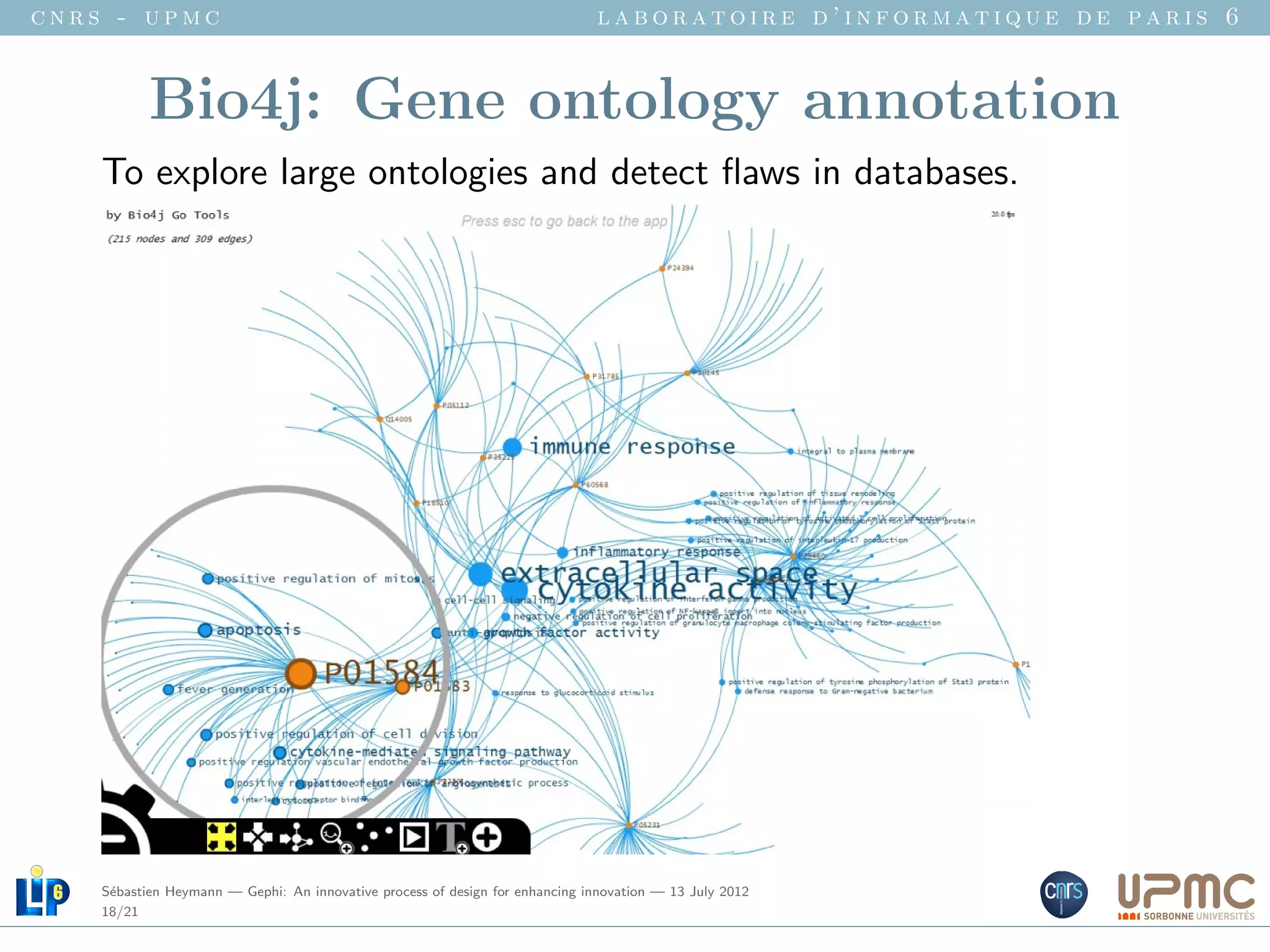 cnrs - upmc                                                                   laboratoire d’informatique de paris 6


           Bio4j: Gene ontology annotation
    To explore large ontologies and detect ﬂaws in databases.




    S´bastien Heymann — Gephi: An innovative process of design for enhancing innovation — 13 July 2012
     e
    18/21
 